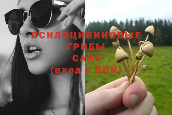 мяу мяу мука Медвежьегорск