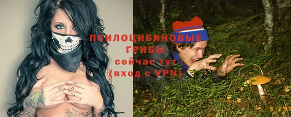 мяу мяу мука Медвежьегорск