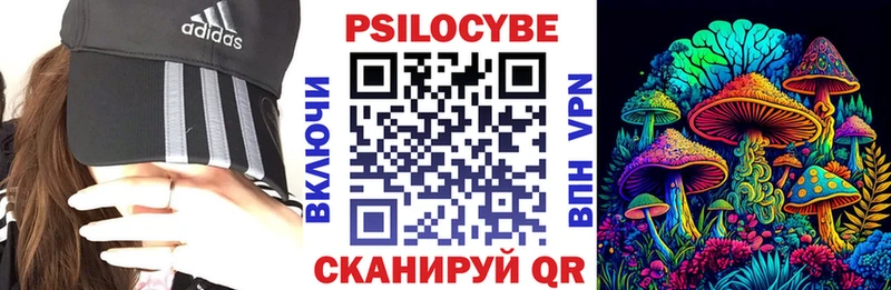 Псилоцибиновые грибы Psilocybe Няндома